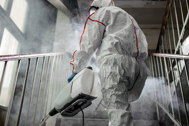 Why You Should Choose Our Mold Remediation Services in Lake Holiday, VA